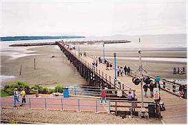 Here's the pier at low tide