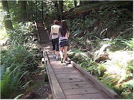 The walk to Whyte Lake
