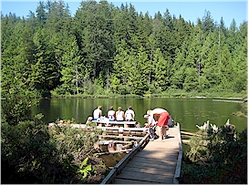 Whyte Lake - Swimming anyone?