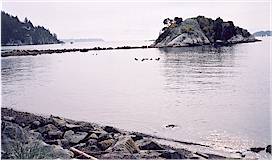 Whytecliff Park is a popular scuba diving area