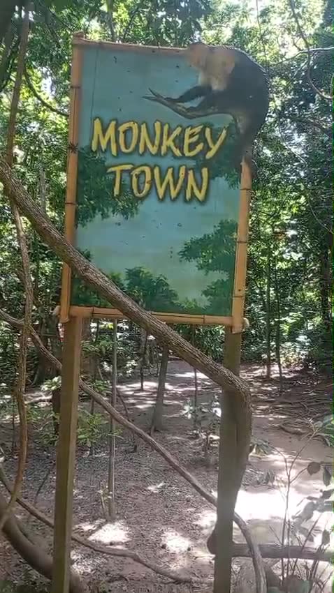 The Monkey Town sign at Gumbalimba Park, Roatán