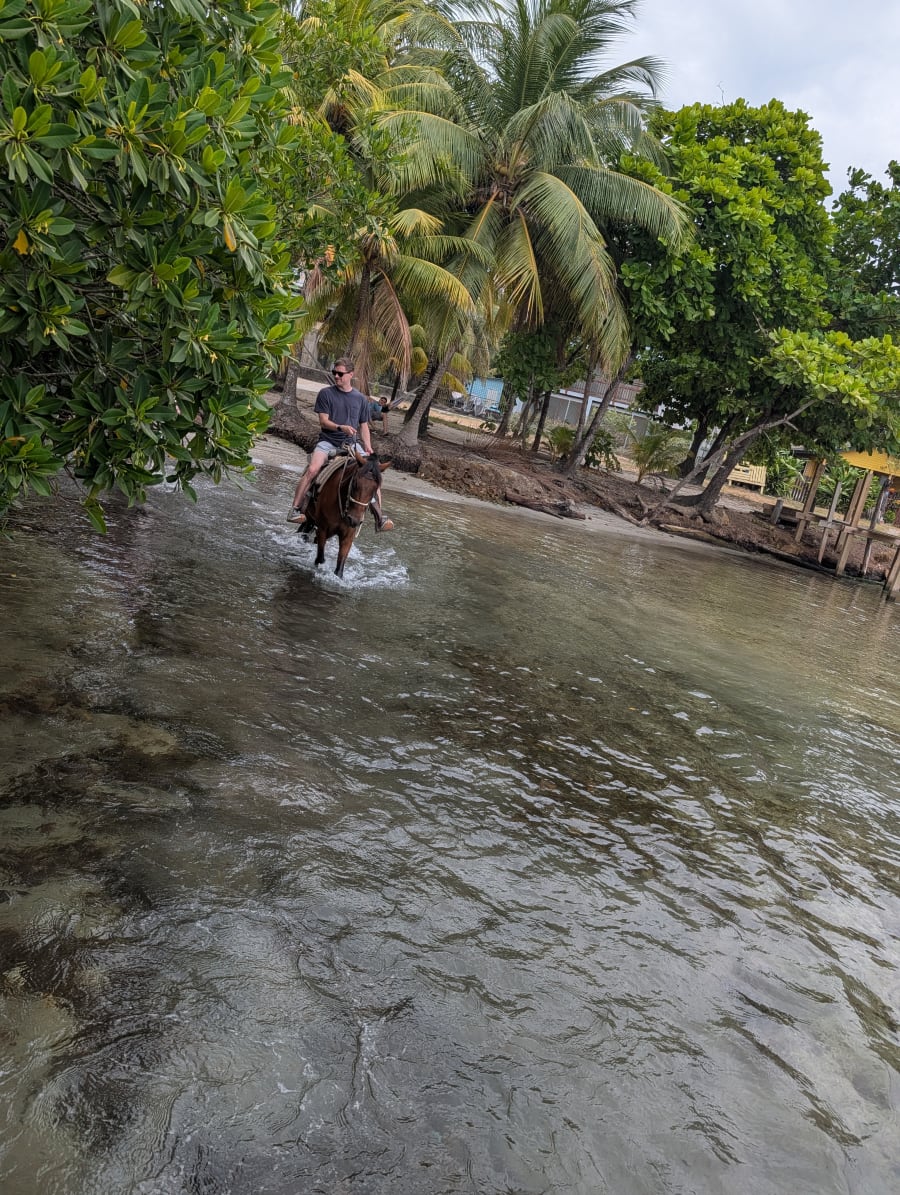 Horseback Riding · West Bay Beach Break