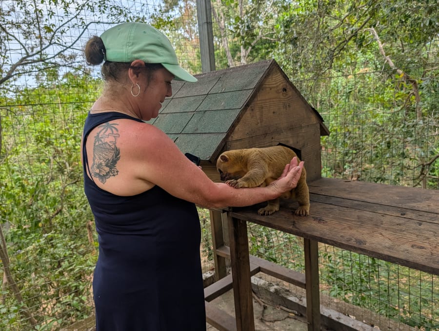 Mayan Eden Eco Park Tour · Zip Line · Roatán Chocolate Factory · Rum Company