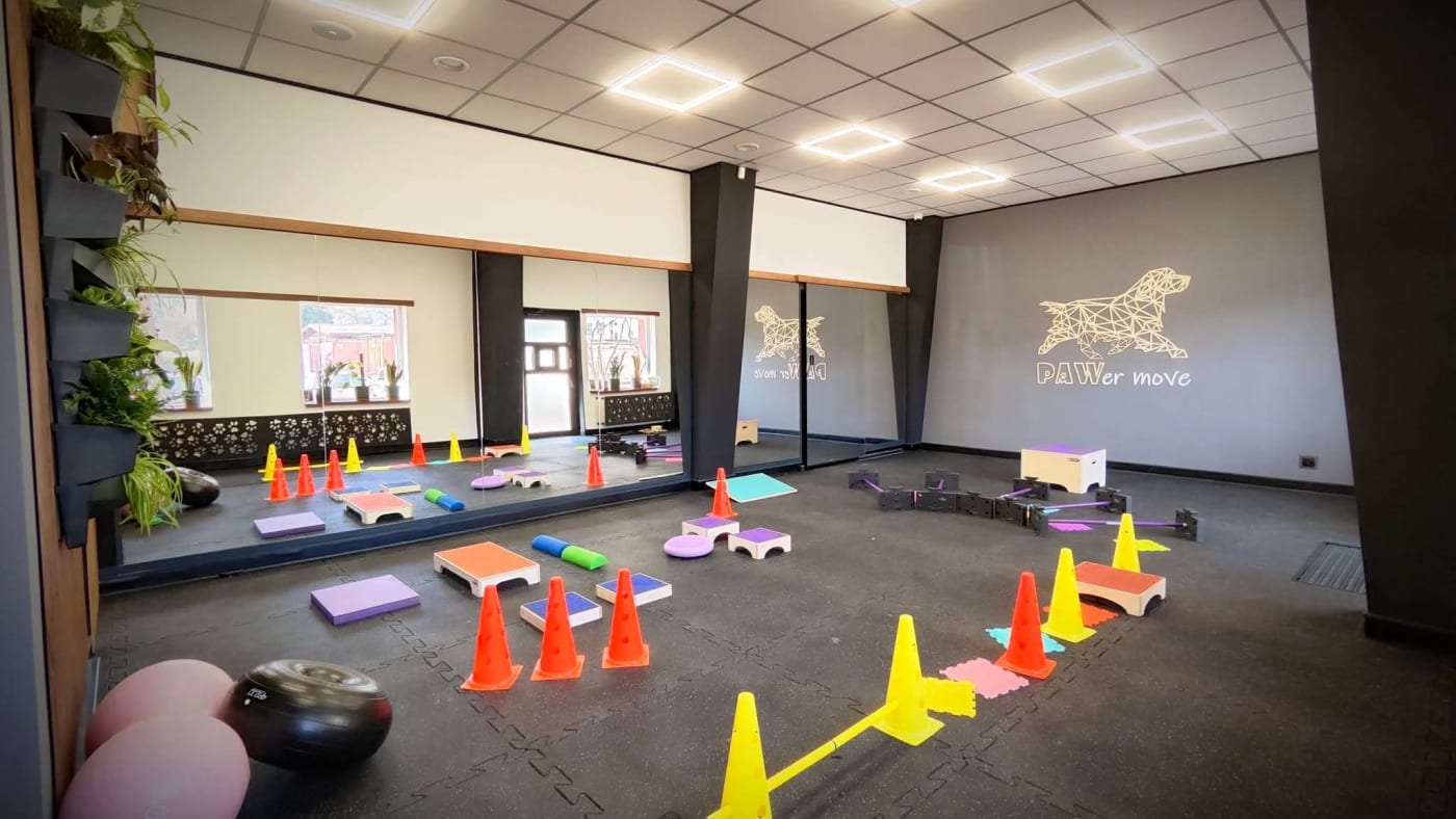 PAWer move Ośrodek Rehabilitacji i Fizjoterapii Zwierząt