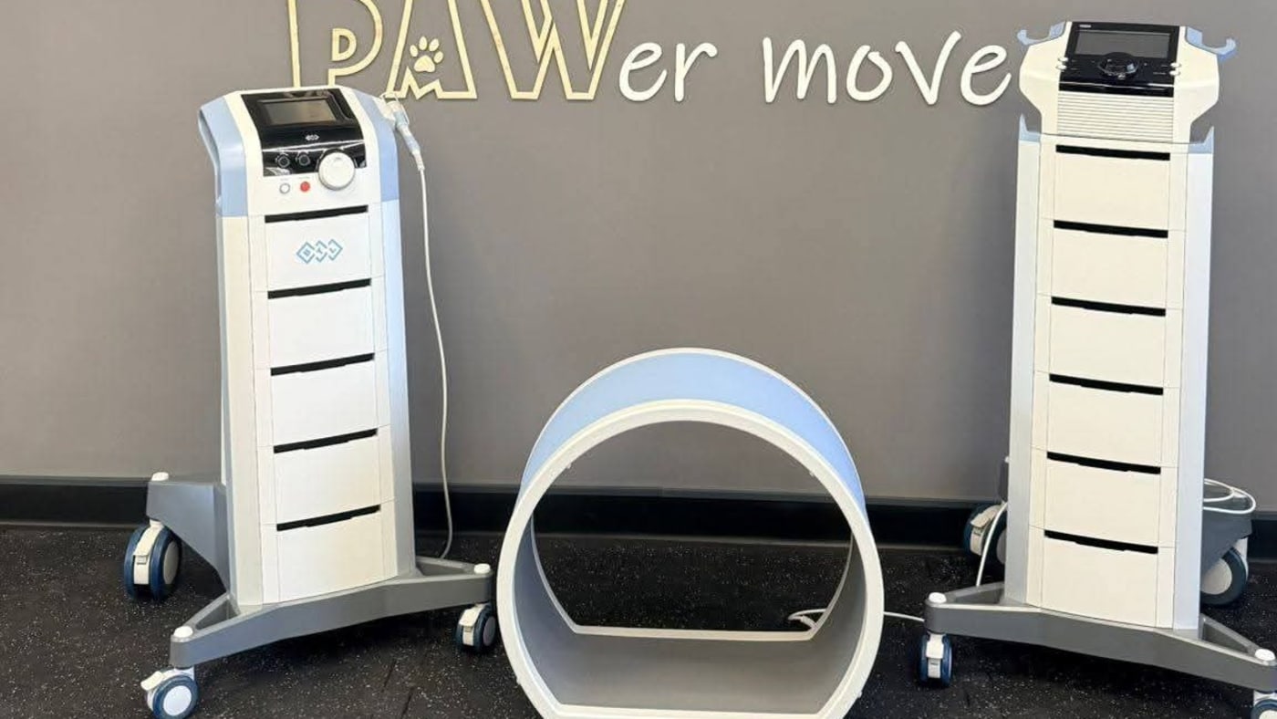 PAWer move Ośrodek Rehabilitacji i Fizjoterapii Zwierząt