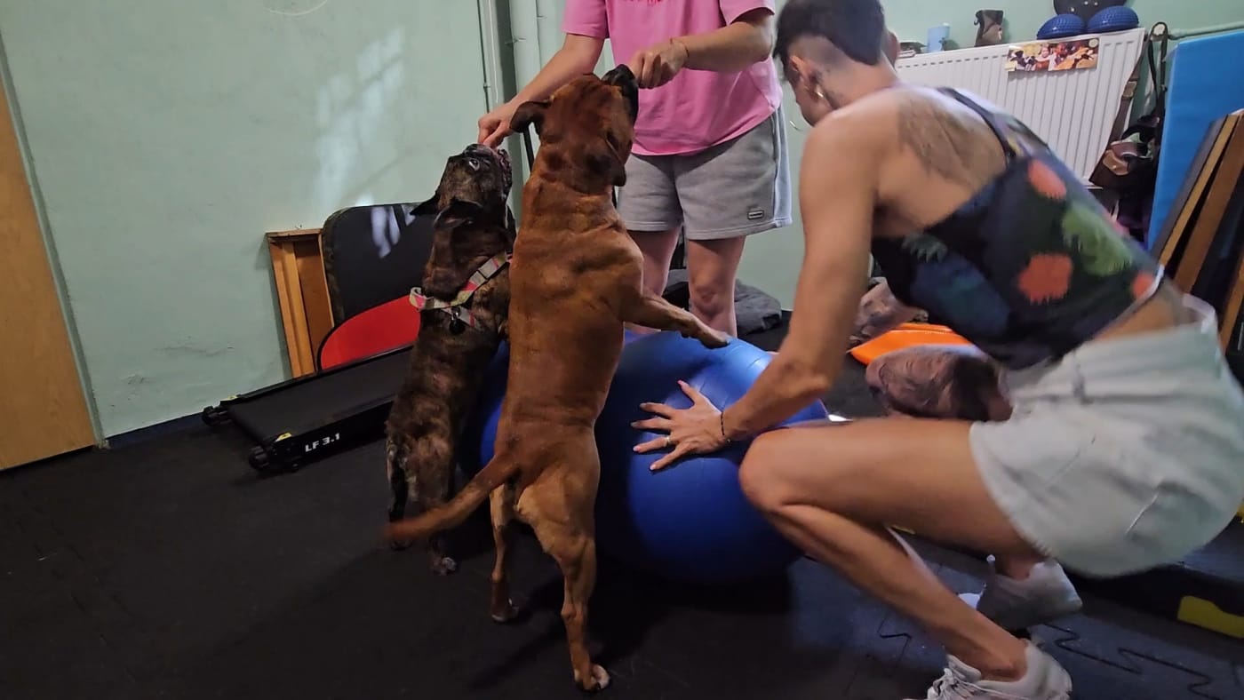 Psifitness_zuzik
