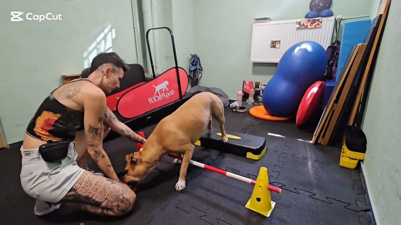 Psifitness_zuzik