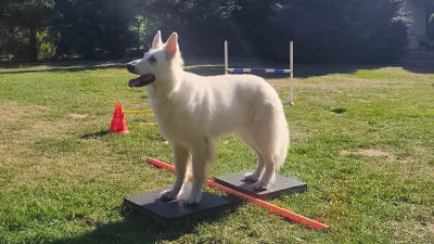 Trening ogólnorozwojowy - indywidualnie