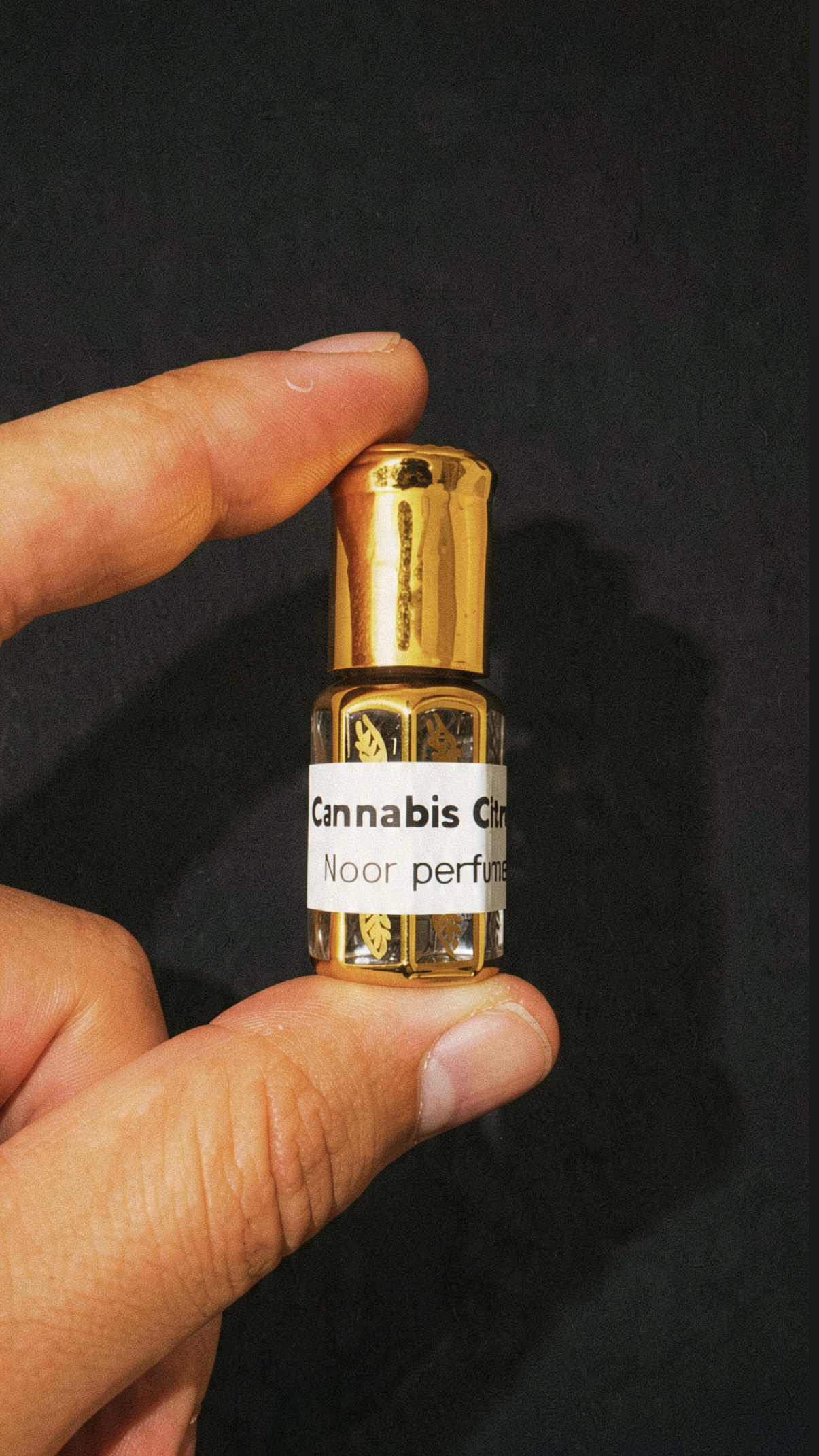 Cannabis citrus