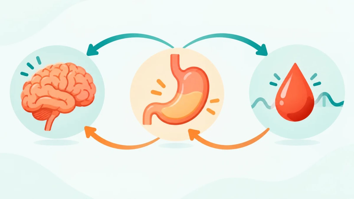 Infográfico de como as canetas agem no apetite e na glicose