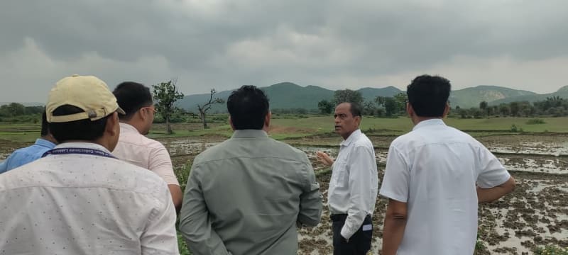 निरीक्षण करते डीएम 