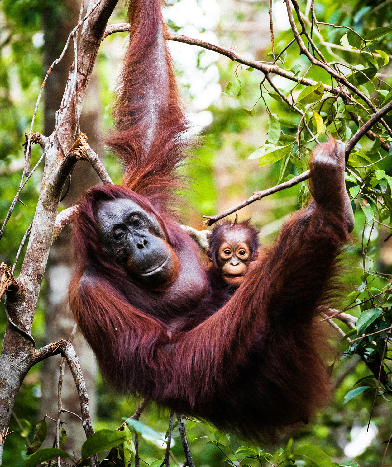 The conservation mission we support