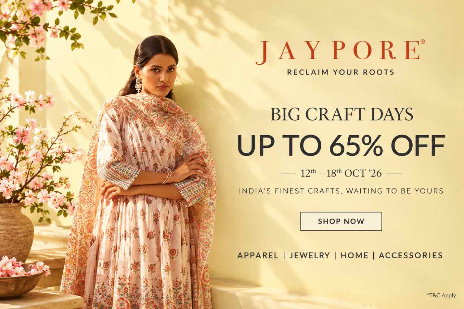 Big Craft Day Sale