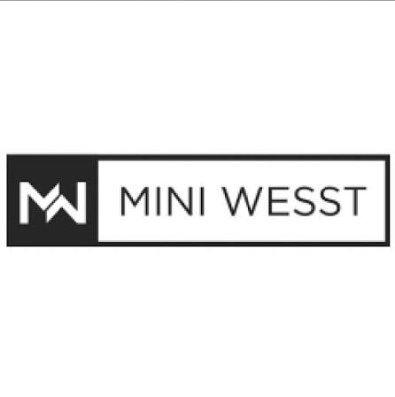 Mini Wesst