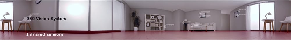 Dyson 360 Eye camera view