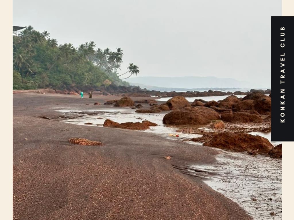Look Beyond Malvan. South Konkan Is Bigger Than One Destination. 2 Kokum: Garcinia Indica- Konkan’s Quiet Essential
