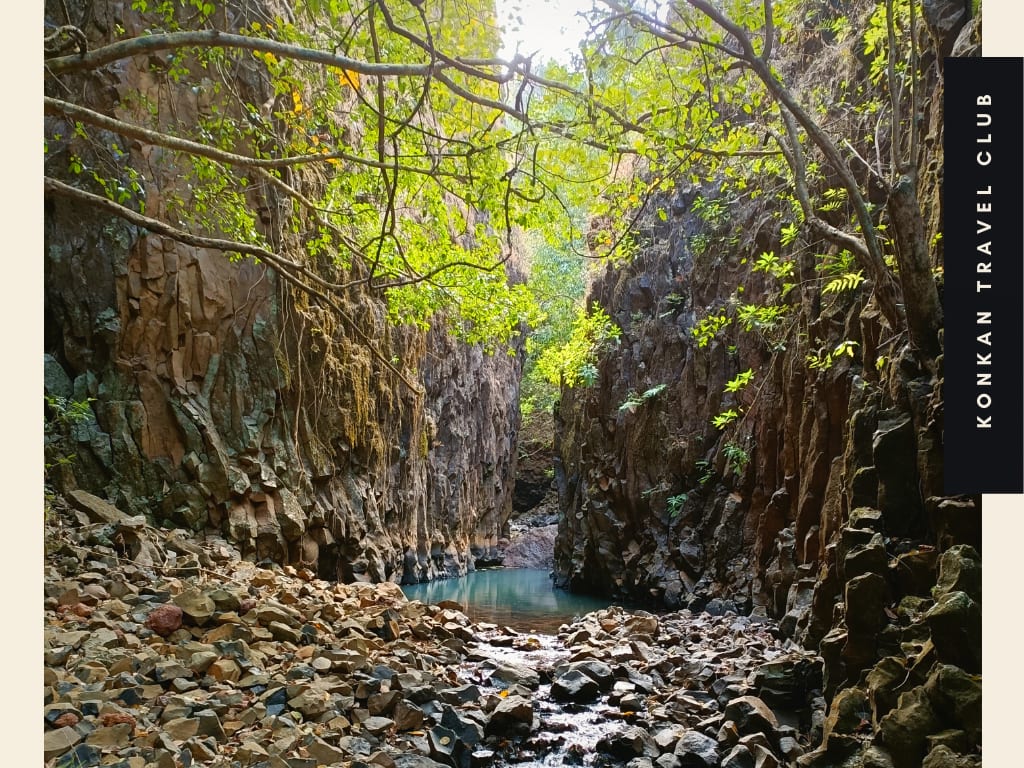 Forest of Hollow Coves Trek [Amboli Sindhudurg]