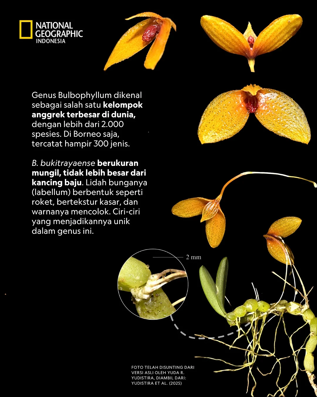 499831410_18502966453021674_6211708877313804568_n