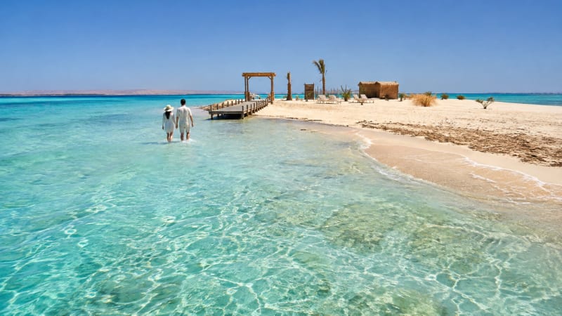 20% Off Your Next Red Sea Experience