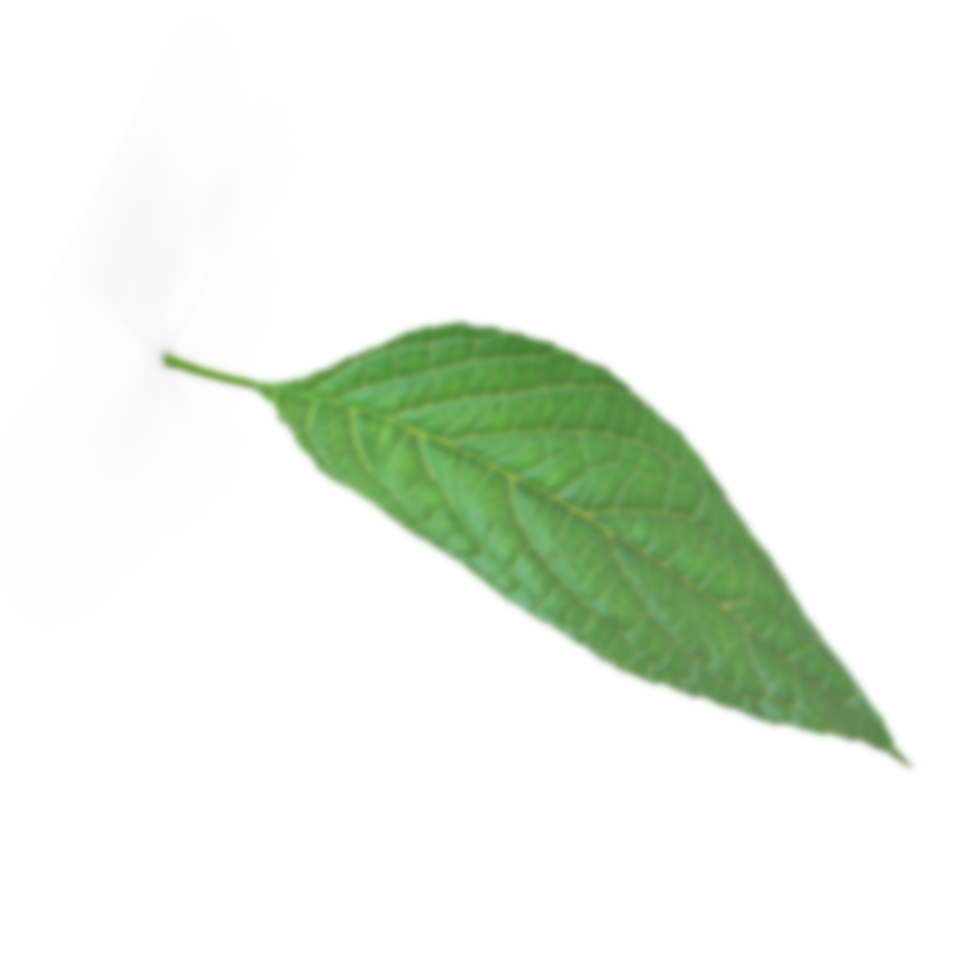 leave