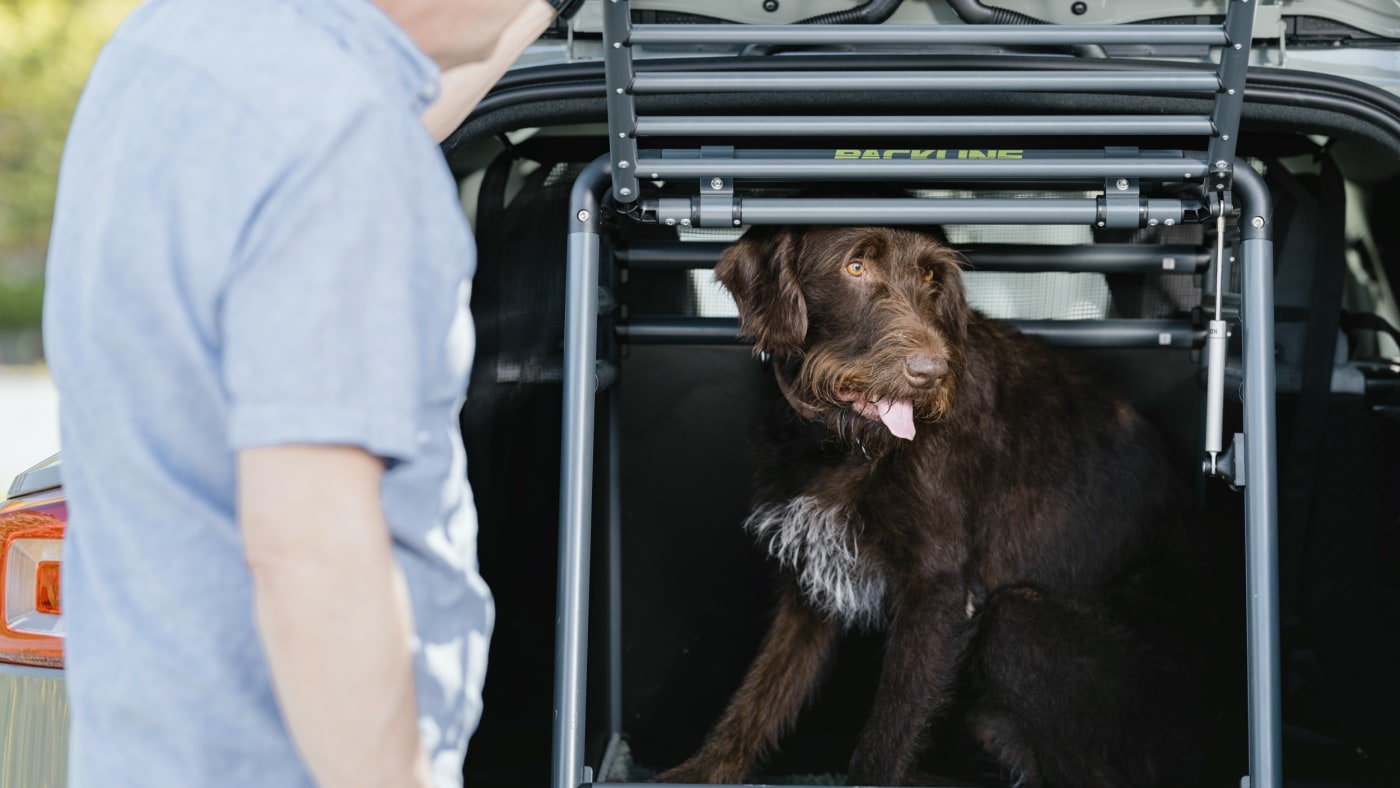 Mann foran hund i bur i bil