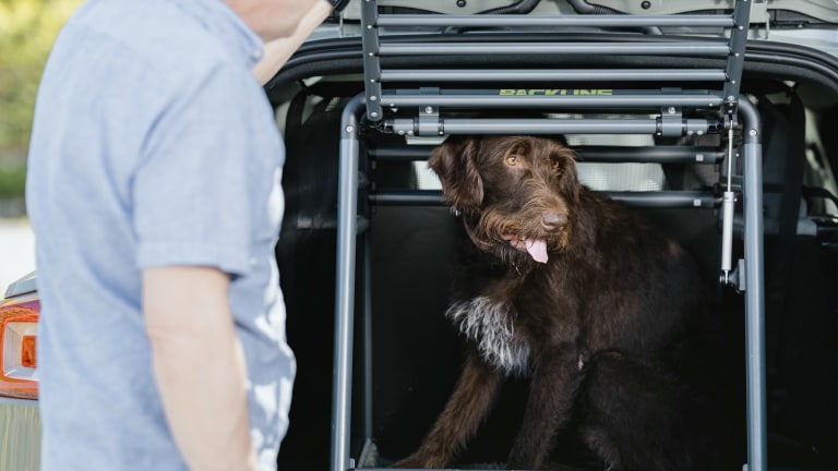 Mann foran hund i bur i bil