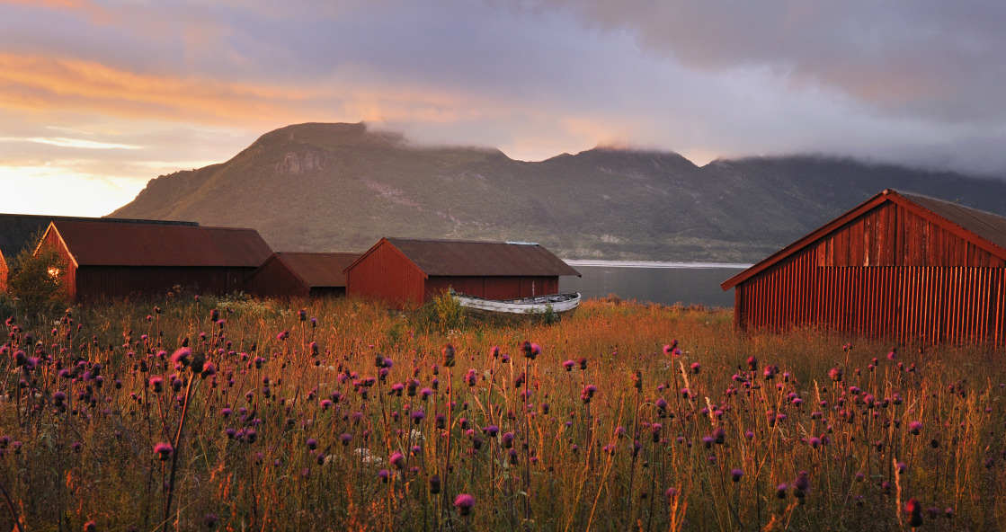 Helgelandskysten, åker og små sjøhus