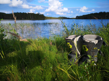 Ettermiddagsstemning fra første overnattingssted Nornäs.