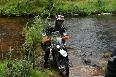 Tunga rett i munnen.