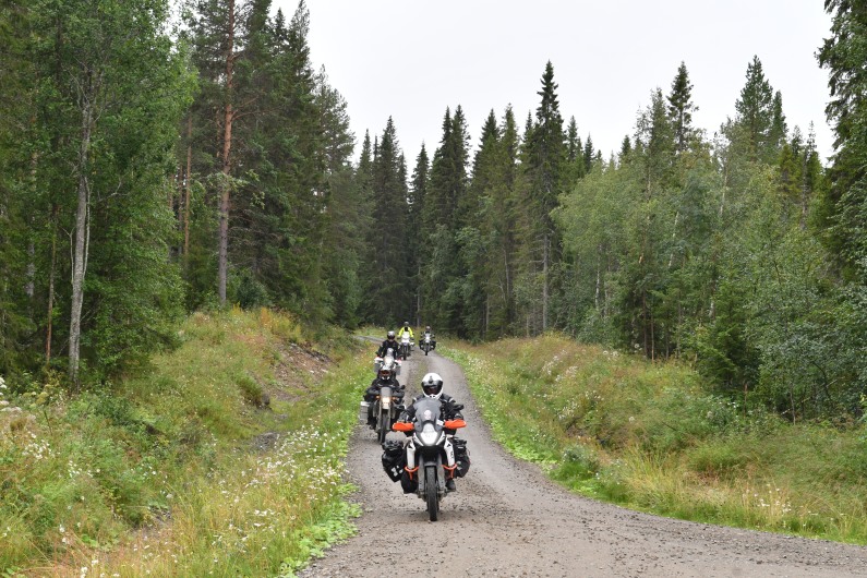Ivar leder an gjennom den svenske villmarken.