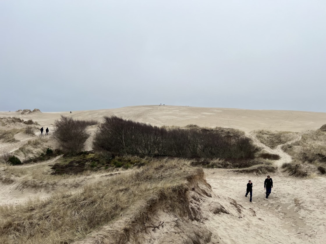 Mennesker går i sanden på Råbjerg mile