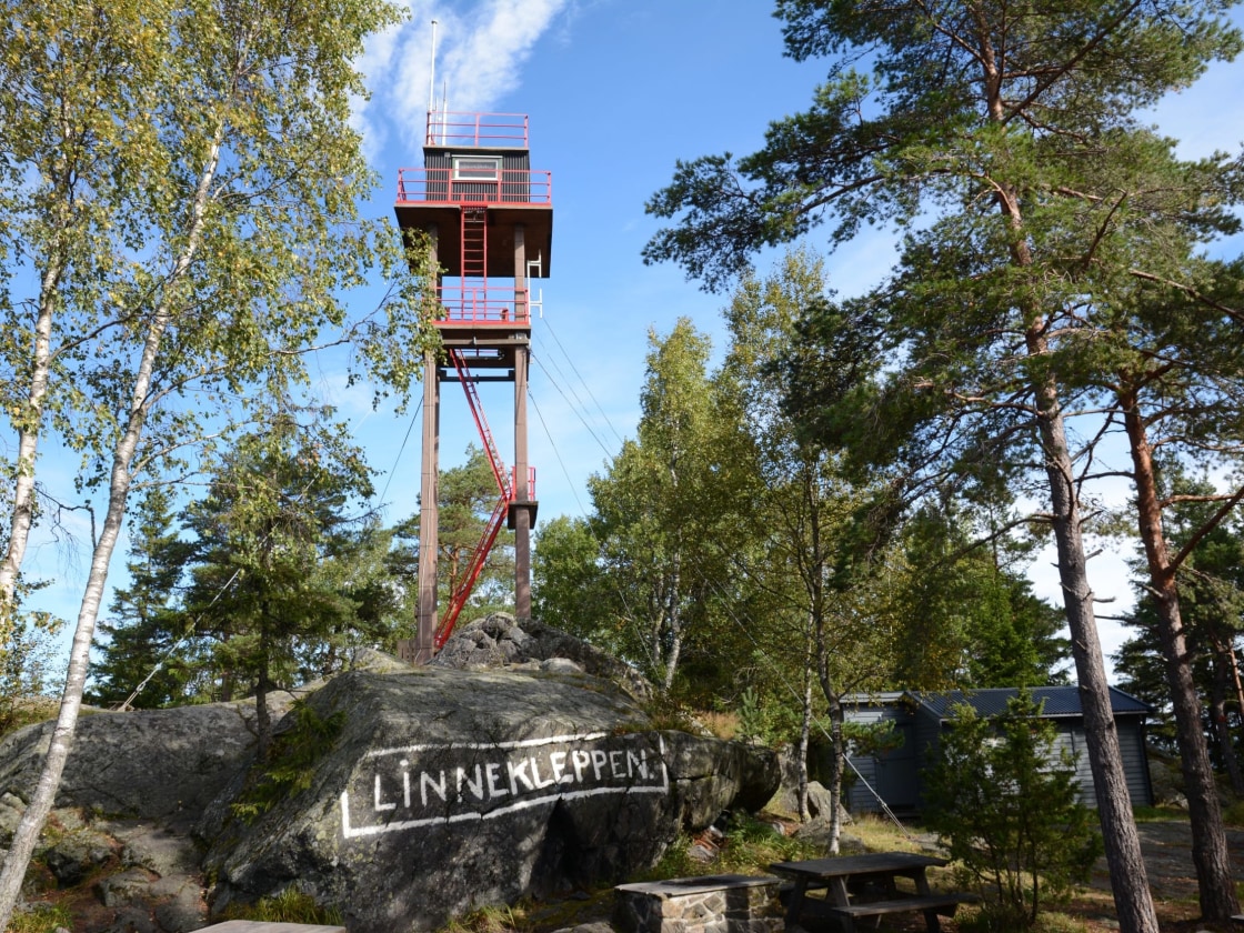 Skog rundt tårn på Linnekleppen i Østfold.