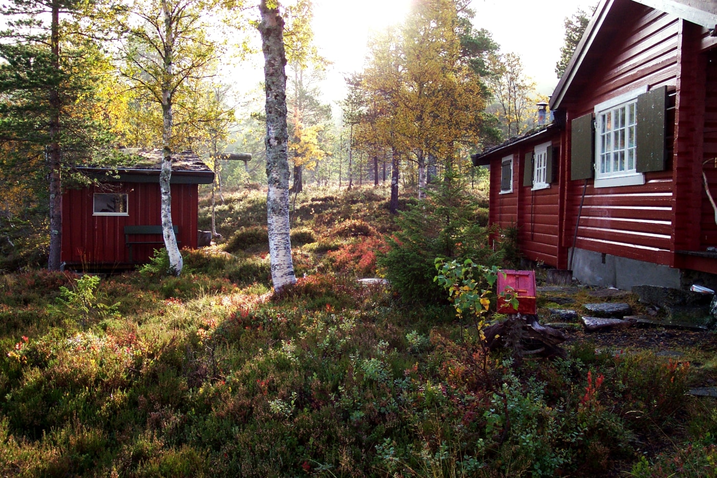 Fjellhytte i høstsol