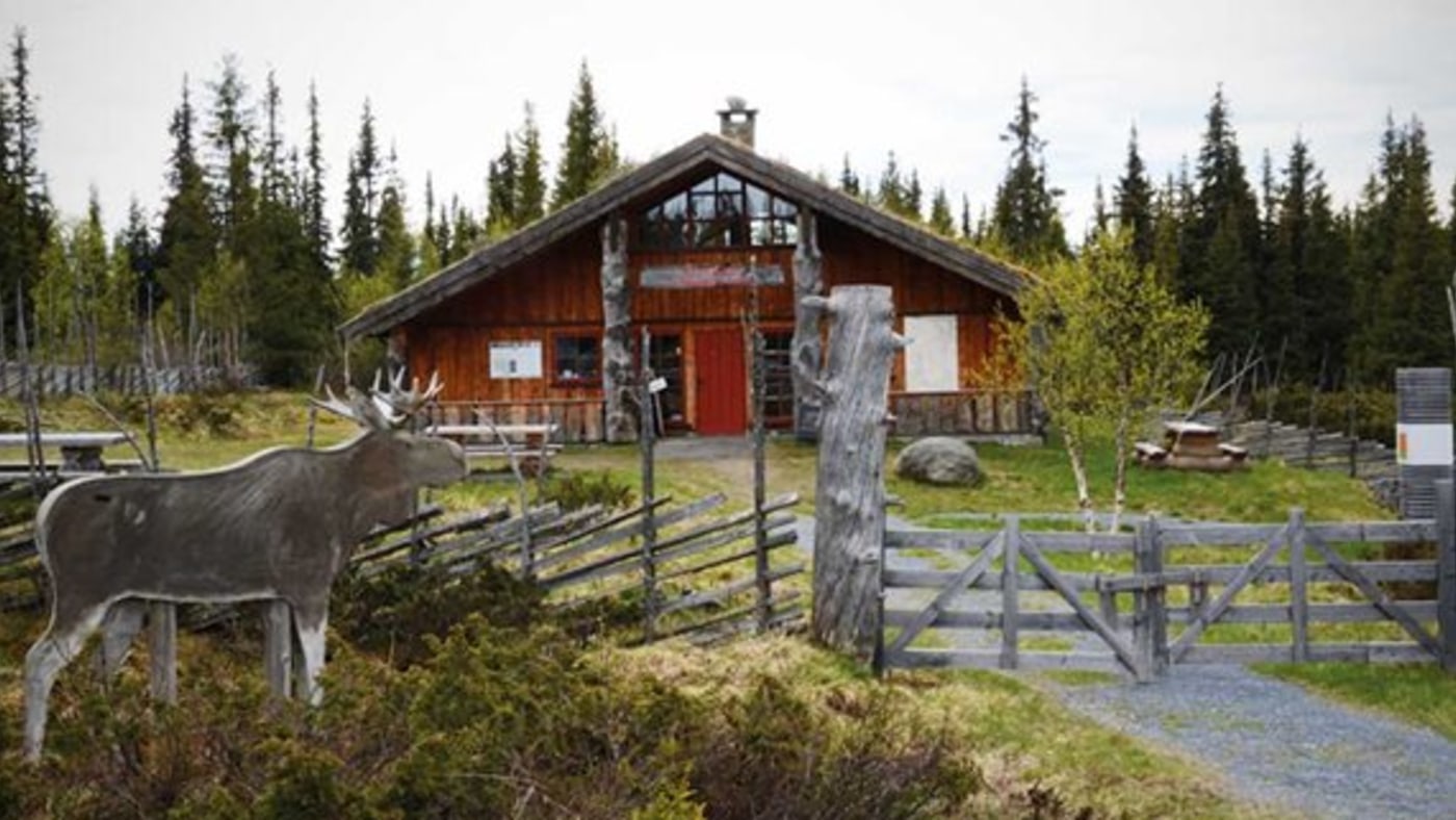 Trehus med gress på taket. Skigard og utskåret elg i tre.