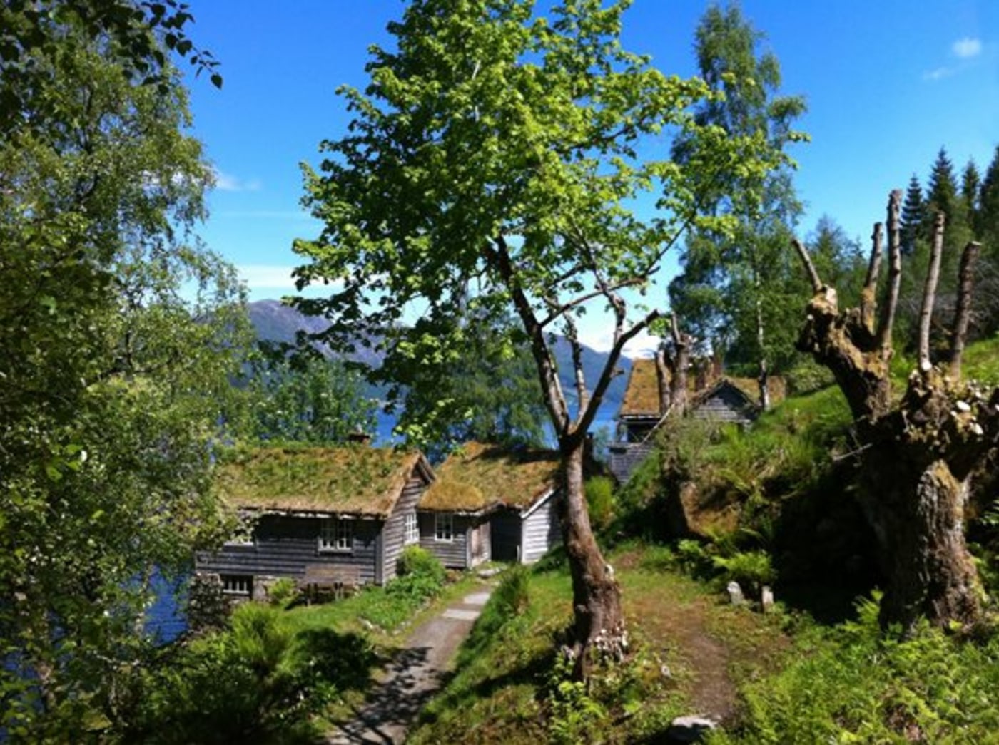 Astruptunet med lafta hus i frodig landskap. 

