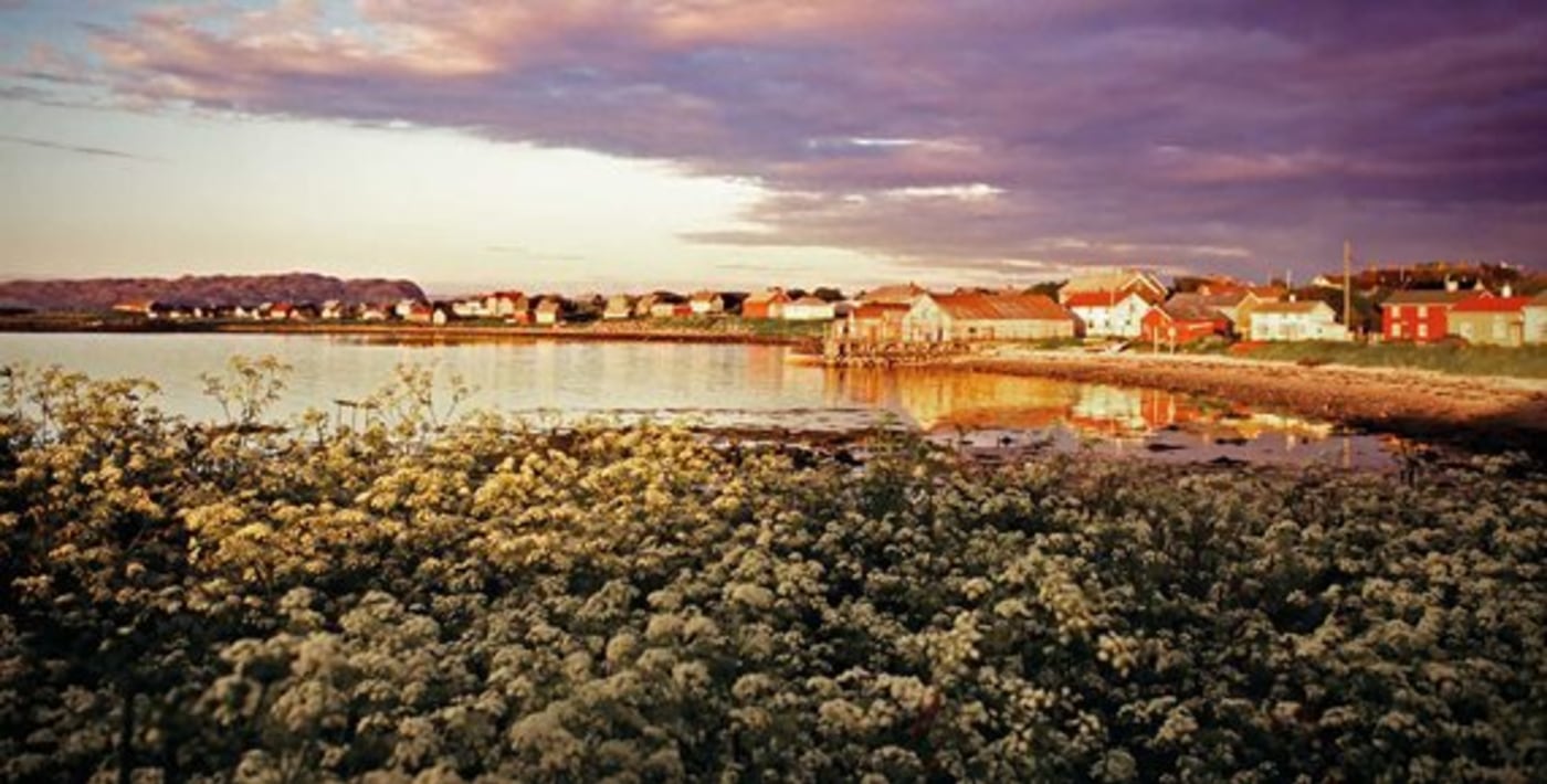 Gamle trehus bader i aftensol ved vannet. 