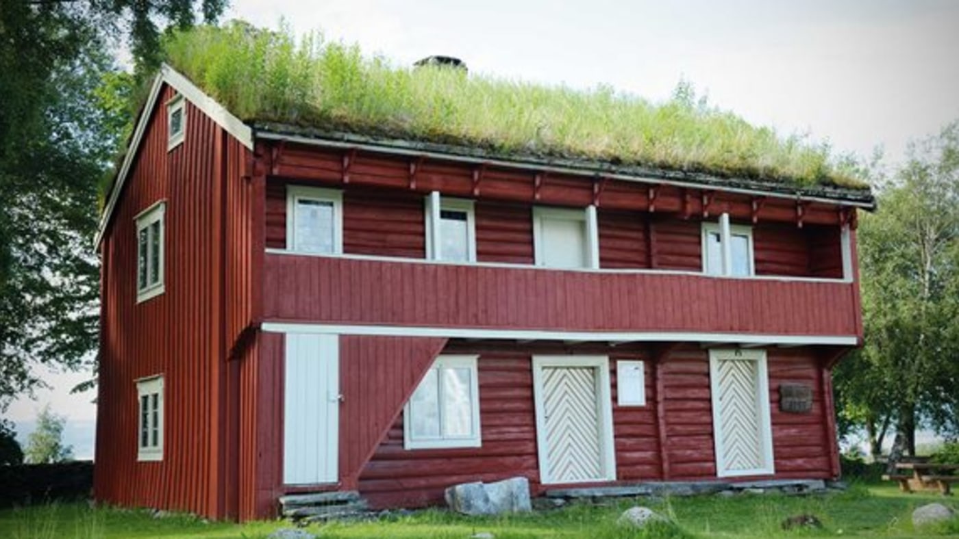 Gammelt trehus. Gress på taket. 