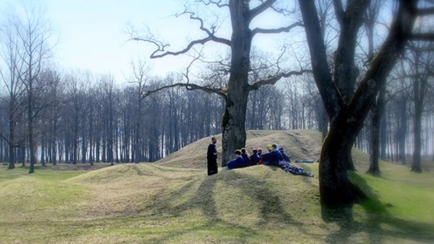Kupert terreng med allé og gamle trær i terrenget. 