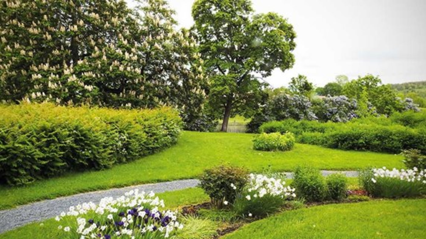 Frodig hage med blomster, busker og trær. 