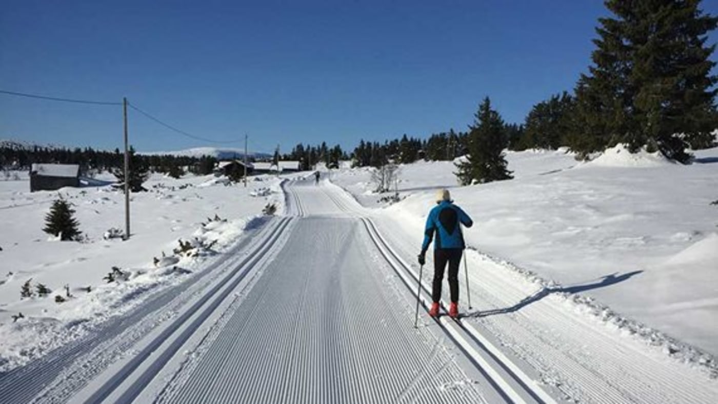 Skiløper i nypreppa skispor. Blå himmel. 