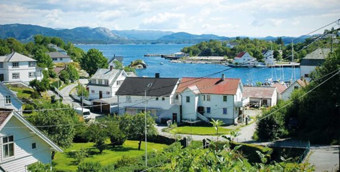 Trehus liggende tett i tett ved vannet med asfaltert vei, rundt husene. 