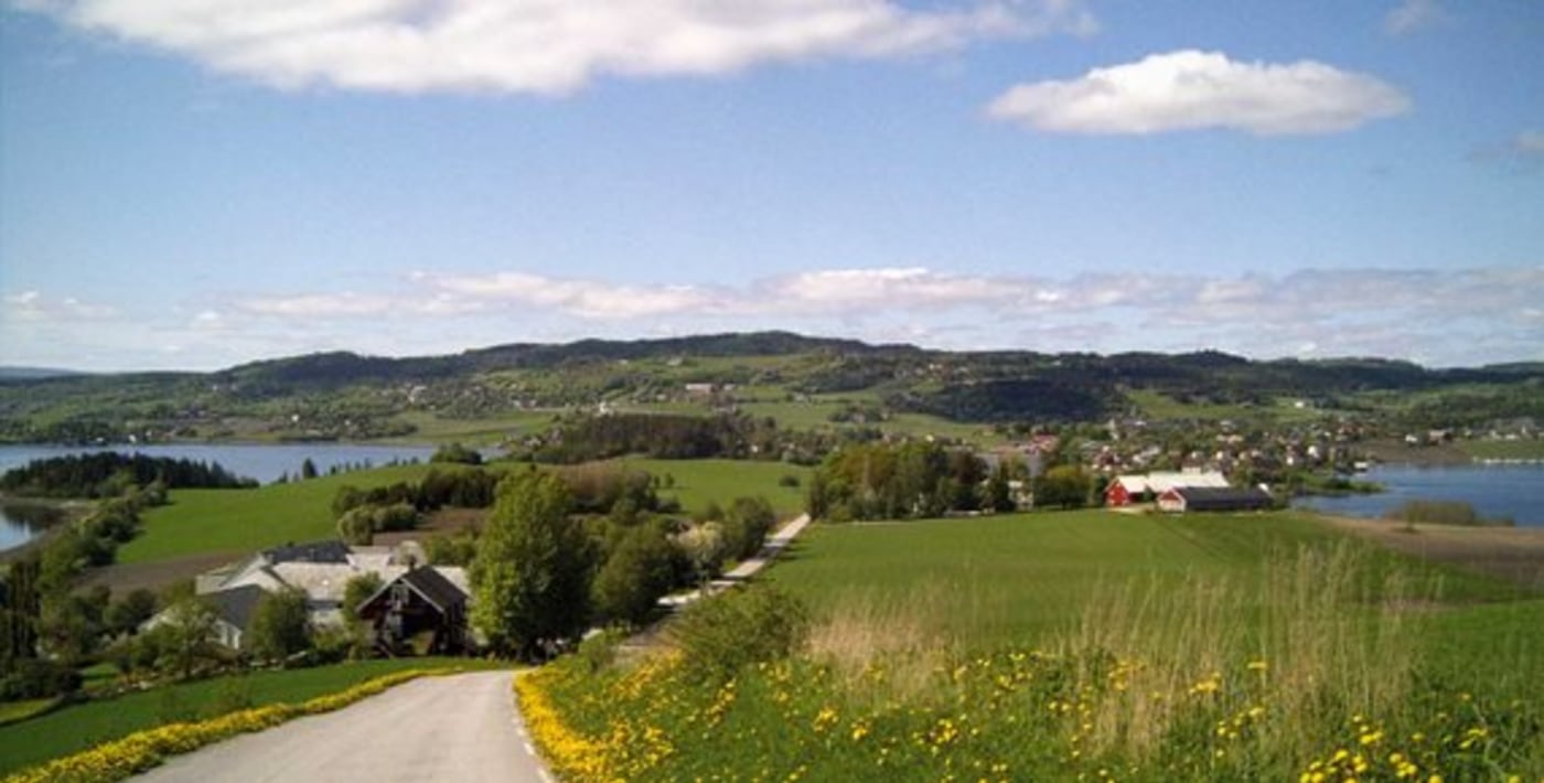 Naturlandskap. Blomster hus langs landevei og sjø.