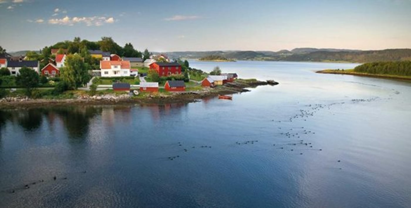 Husklynge langs fjorden med strie strømmer. 