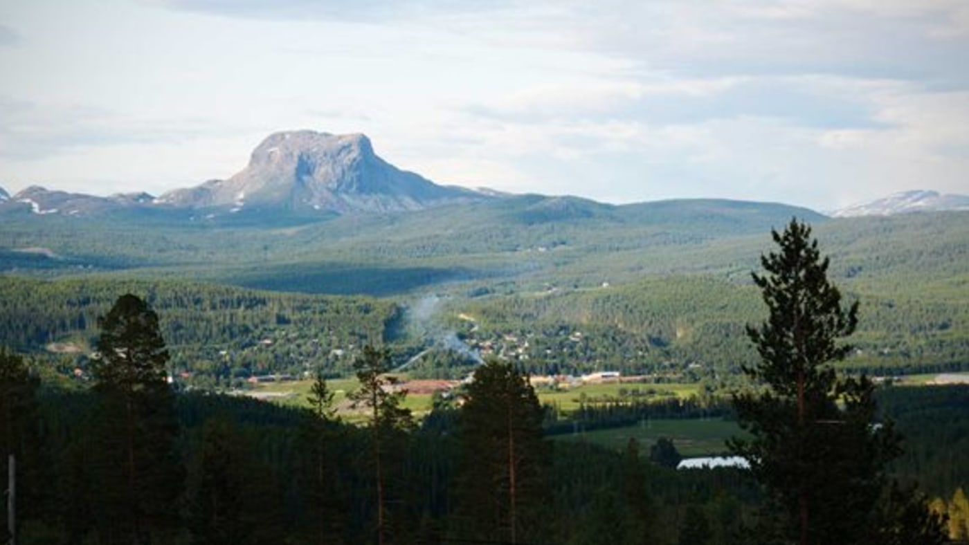 Skogslandskap med hus i det fjerne og fjellet Hatten i bakgrunnen.