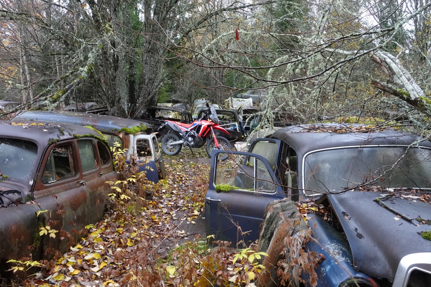 motorsykkel i bilkirkegård