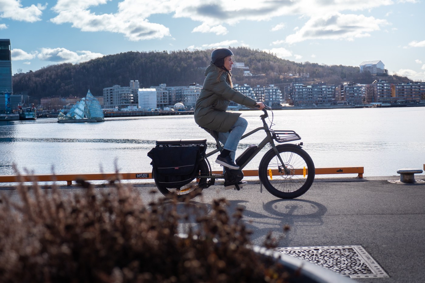 dame på elsykkel ved sjøen