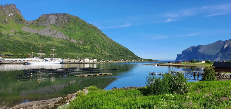 Senjahopen 