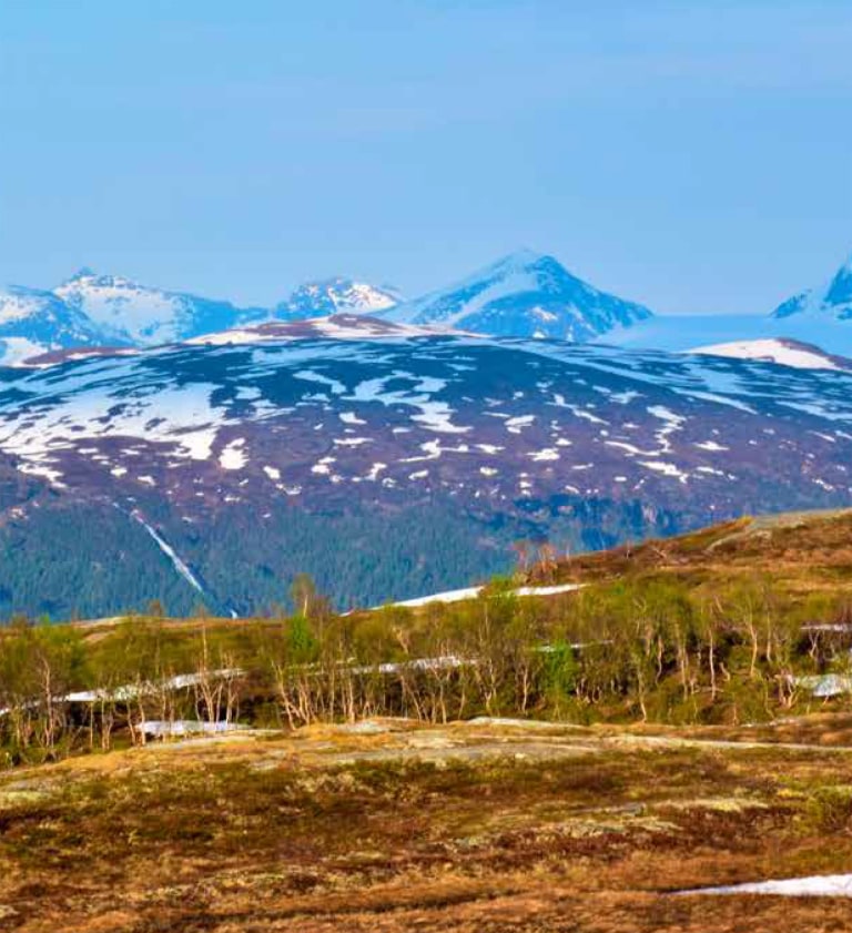 Fjell og vidde-landskap