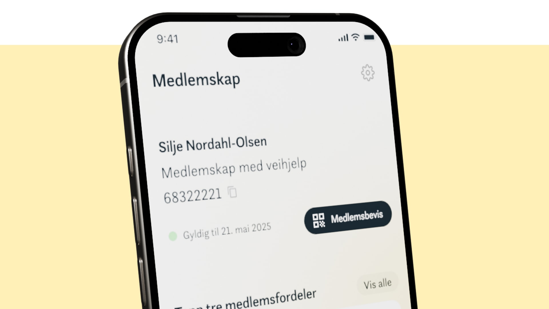 Skjermbilde av app