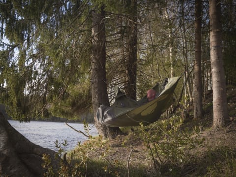 Hengekøye i skogen